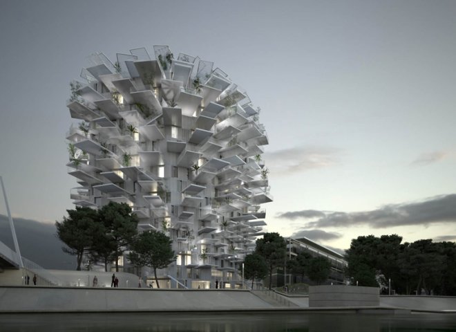 montpellier_arbre_blanc_03.jpg