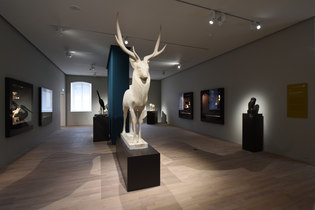 ec_dijon_musee_des_beaux_arts_11.jpg